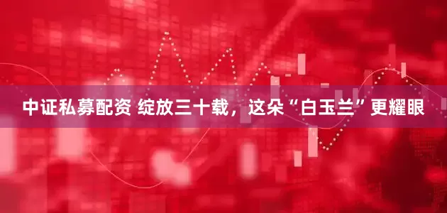 中证私募配资 绽放三十载，这朵“白玉兰”更耀眼