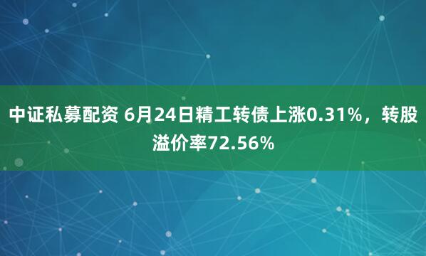 中证私募配资 6月24日精工转债上涨0.31%，转股溢价率72.56%